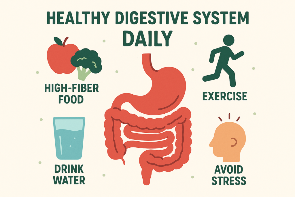 Healthy Digestive System Daily