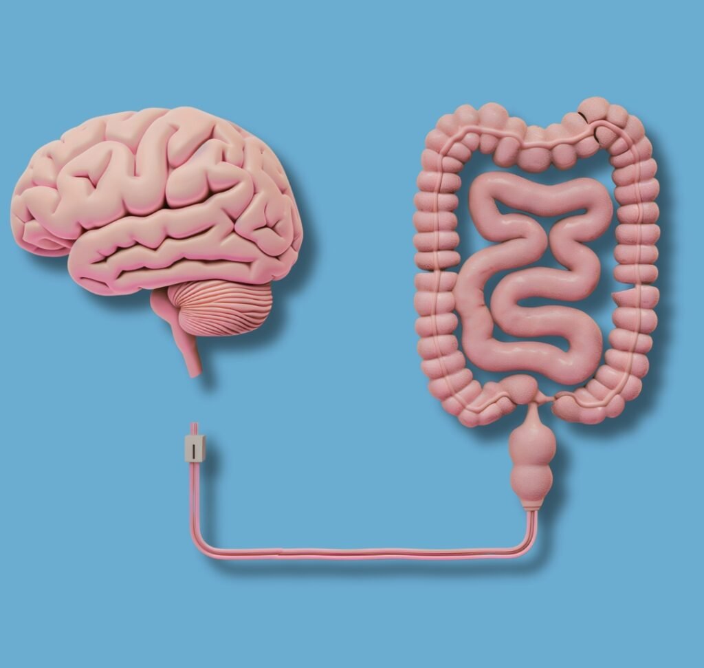 Link Between Gut Health and Mental Healt